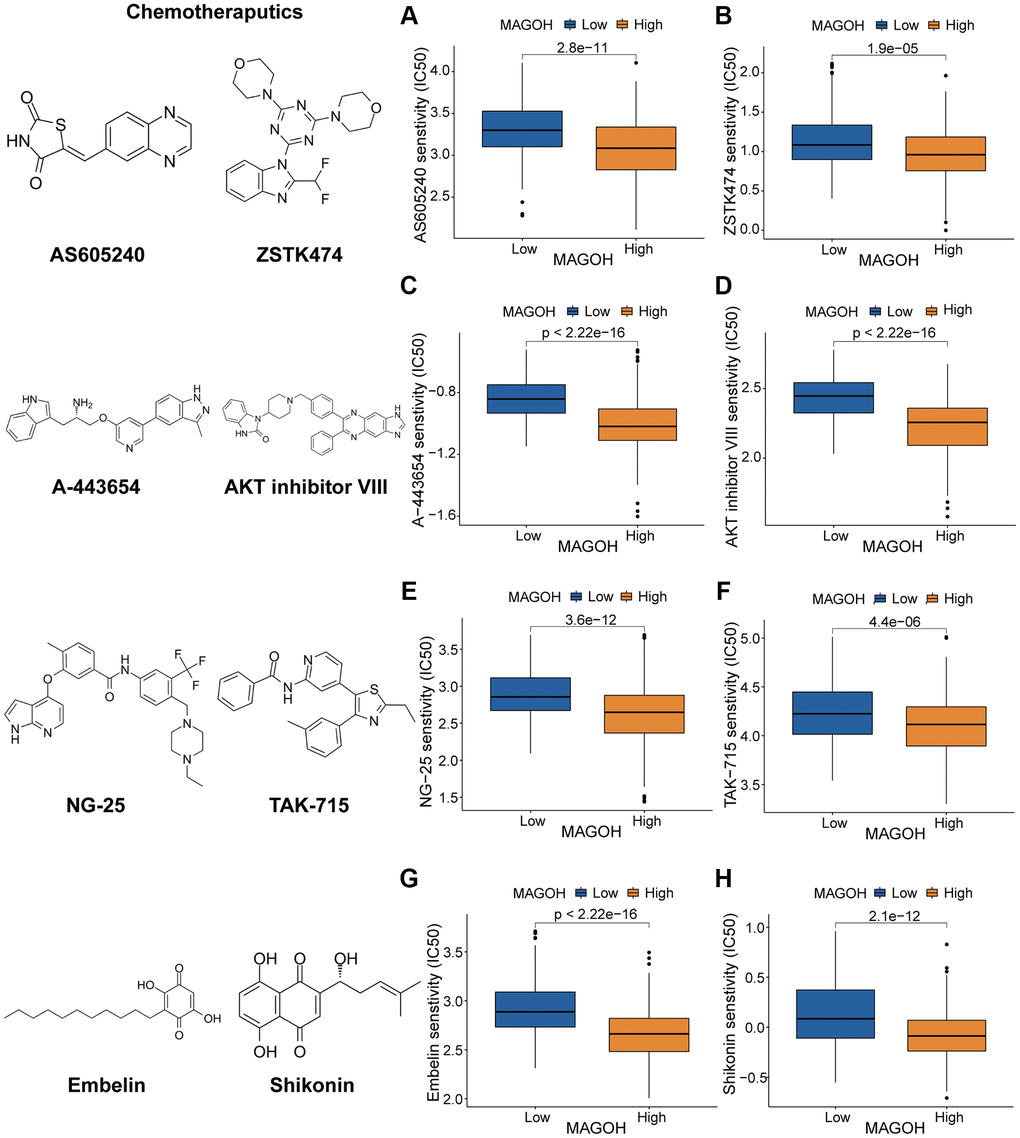 Prediction of response to chemotherapeutics drugs in LGG subtypes. (A–D) Effects of the PI3K/AKT inhibitors AS605240 (A), ZSTK474 (B), A-443654 (C), and AKT inhibitor VIII (D). (E, F) Effects of the MAPK inhibitors NG-25 (E) and TAK-715 (F). (G, H) Effects of the NF kappaB inhibitors embelin (G) and shikonin (H).