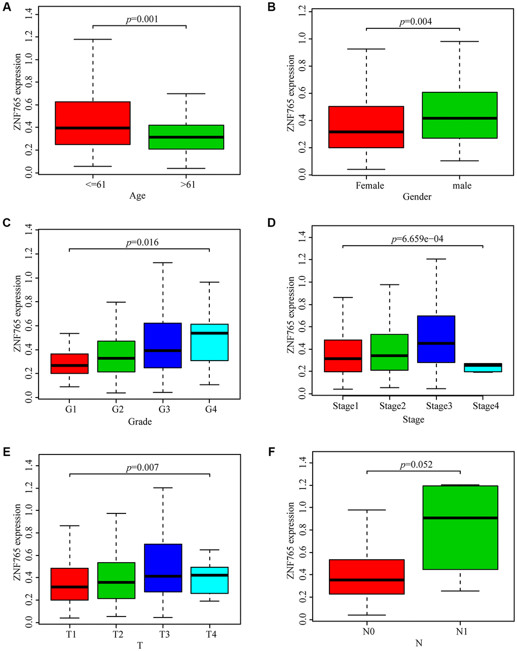 Box plots exploring the relationship between ZNF765 expression and clinicopathological characteristics. (A) Age; (B) Gender; (C) Grade; (D) Stage; (E) T (size of the tumor); (F) N (lymph node metastasis).
