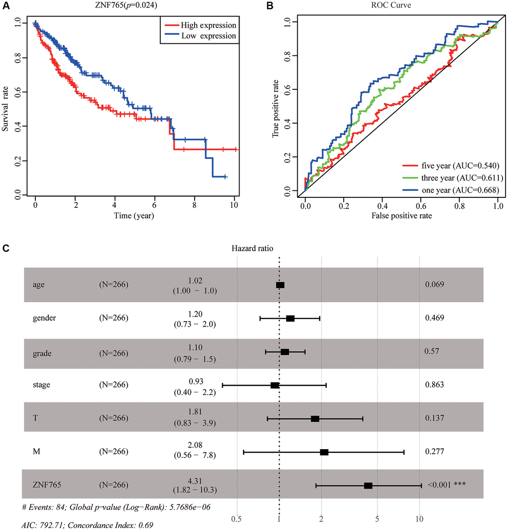 The effectiveness of ZNF765 in predicting prognosis. (A) HCC patients with a lower expression level of ZNF765 had favorable a prognosis (p = 0.024). (B) ROC curves for the 1-, 3-, and 5-year survival according to the expression level of ZNF765. Abbreviation: AUC: the area under the curve; ROC: receiver operating characteristic. (C) A forest plot of the results of the multivariate analysis. *p **p ***p 
