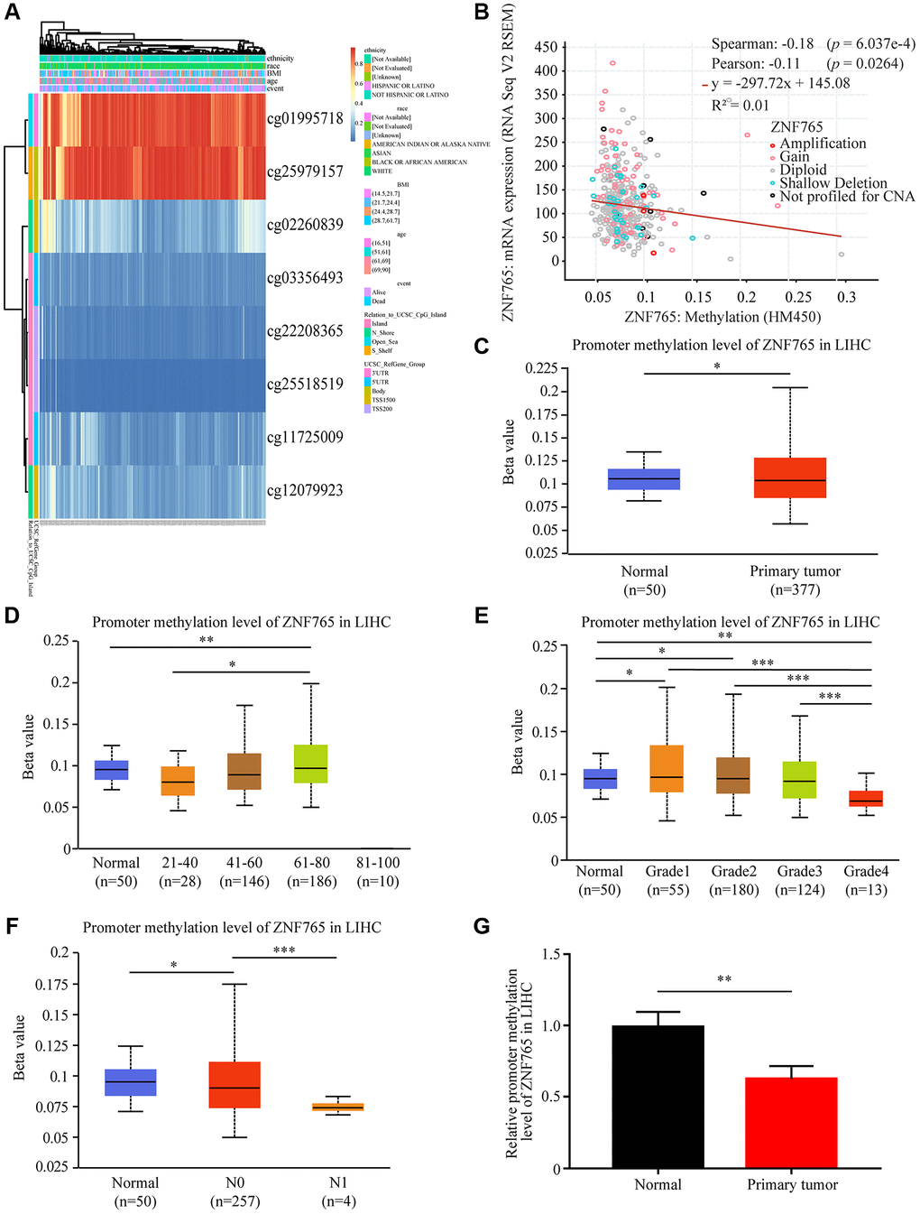 DNA methylation of ZNF765 in HCC. (A) Heatmap for ZNF765 in HCC. (B) The correlation between ZNF765 methylation and its expression level (n = 521). (C) A boxplot of ZNF765 promoter methylation levels in normal and HCC samples. (D) Boxplot demonstrating the relative promoter methylation level of ZNF765 in healthy people of any age or HCC patients aged 21–40, 41–60, 61–80, or 81–100 years. (E) A boxplot depicting the relative promoter methylation level of ZNF765 in healthy people and HCC patients of different genders. (F) Boxplot showing the relative promoter methylation level of ZNF765 in normal individuals or HCC patients in grades 1, 2, 3, or 4. (G) Boxplot depicting the relative promoter methylation level of ZNF765 in normal individuals with any nodal metastasis status or HCC patients with N0 and N1 nodal metastasis. ***p 