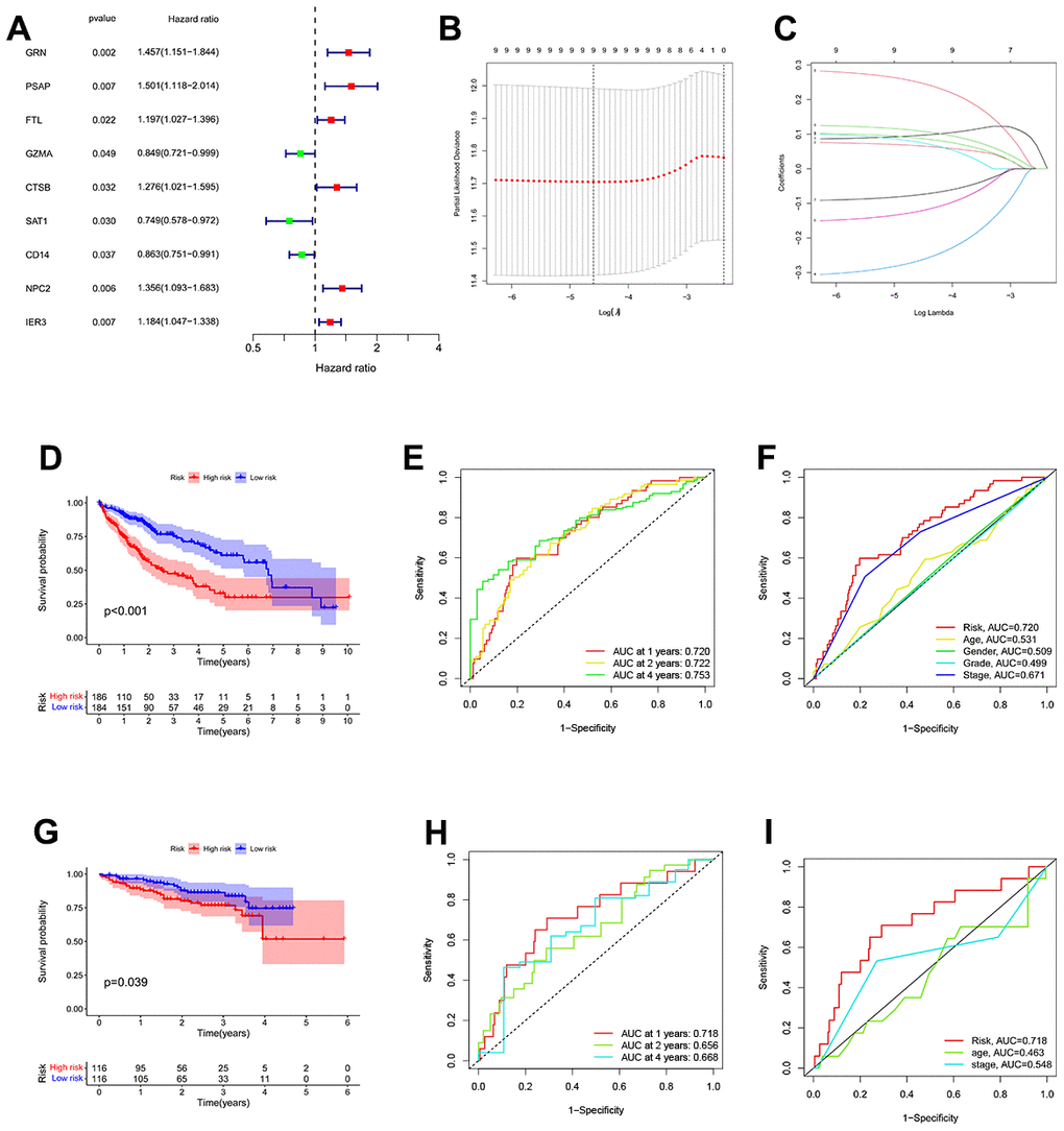 Construction of a TEX-related DEGs signature for prognosis. (A) 9 TEX-related DEGs show remarkable relevance to OS according to univariate Cox regression analysis. (B, C) The LASSO coefficient profiles were constructed from 9 prognostic TEX-related DEGs, and the tuning parameter (λ) was calculated based on the minimum criteria for OS with ten-fold cross-validation. five genes were selected according to the best fit profile. (D) Kaplan-Meier survival analysis of high- and low-TEXPM groups in the TCGA cohort. (E) ROC analysis for OS prediction including 1, 2, and 4 years of HCC patients in the TCGA cohort. (F) ROC curve analysis compares the predictive power of the MRS signature and other clinicopathological indicators in the TCGA cohort. (G) Kaplan-Meier survival analysis of high- and low-TEXPM groups in the ICGC cohort. (H) ROC analysis for OS prediction including 1, 2, and 4 years of HCC patients in the ICGC cohort. (I) OC curve analysis compares the predictive power of the MRS signature and other clinicopathological indicators in the ICGC cohort.