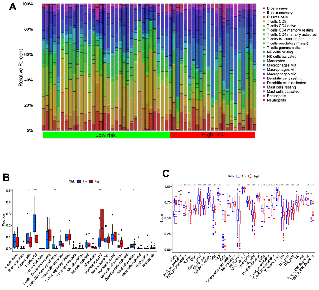 Immune characteristics in high- and low-TEXPM groups. (A, B) The proportions of TME cells in high- and low-TEXPM groups. (C) The molecular and immune-related function in high- and low-TEXPM groups. (**p 