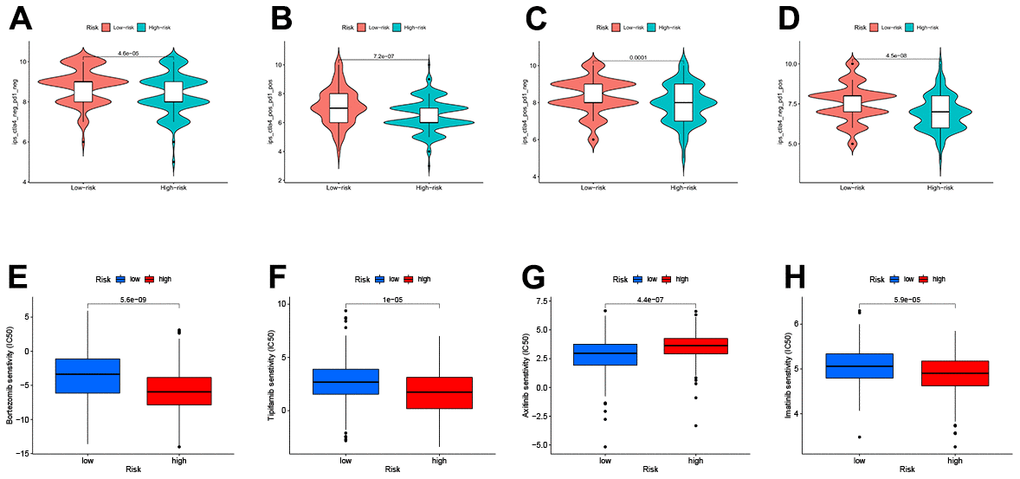 Relationship between TEXPM and (IPS) analysis and drug sensitivity (A–D) low-TEXPM and high-TEXPM response to IPS. (E–H) Treatment of different small molecule drugs by high and low-TEXPM groups.