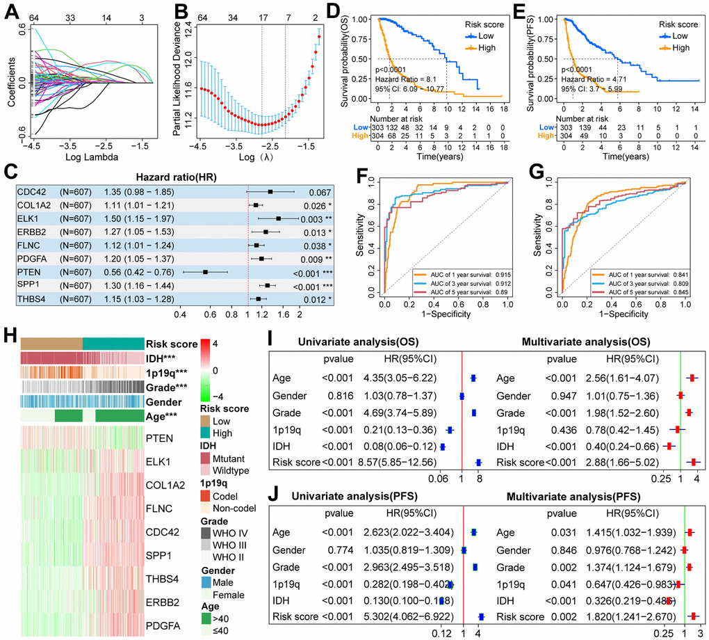 Construction of scoring system and analysis of its prognostic value in the TCGA cohort. (A) LASSO coefficient profiles of 192 FARGs. (B) Selection of the penalty parameter (λ) in the LASSO model via 1,000 cross-validations. The vertical dotted line passing through the red dot is drawn at the optimal value. (C) Nine FARGs screened by multi-Cox regression analysis were used to construct the scoring system. (D, E) The K-M survival curves showed that the OS and PFS of glioma patients in the low-risk group were longer than those in the high-risk group. (F, G) ROC curves show that risk score can effectively predict the 1,3,5-year OS and PFS for glioma patients. (H) The distributions of five clinicopathological characteristics and nine FARGs between high and low-risk groups. (I, J) Uni- and multi-Cox regression analysis of risk score and five clinicopathological characteristics. *P