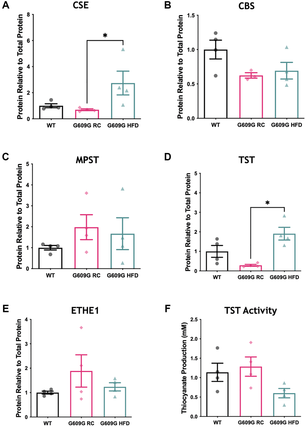 Hepatic protein levels of H2S producing enzymes. Western blotting of hepatic protein lysates quantified by densitometry analysis and expressed relative to total protein loading for (A) CSE, (B) CBS, and (C) MPST (D) TST (E) ETHE1. (F) Activity of TST protein in hepatic protein lysates as measured by a thiocyanate production capacity assay. 20 ug of liver protein lysates was loaded per well in triplicate WT data shown in black, G609G RC in pink, G609G HFD shown in green. Statistical significance was determined by Kruskal-Wallis non-parametric ANOVA test with alpha = 0.05, with Dunn's correction for multiple comparison. Grubbs outlier test with alpha = 0.05 was performed, no outliers removed. Bars show mean values with error bars representing standard error of the mean (SEM). *p 