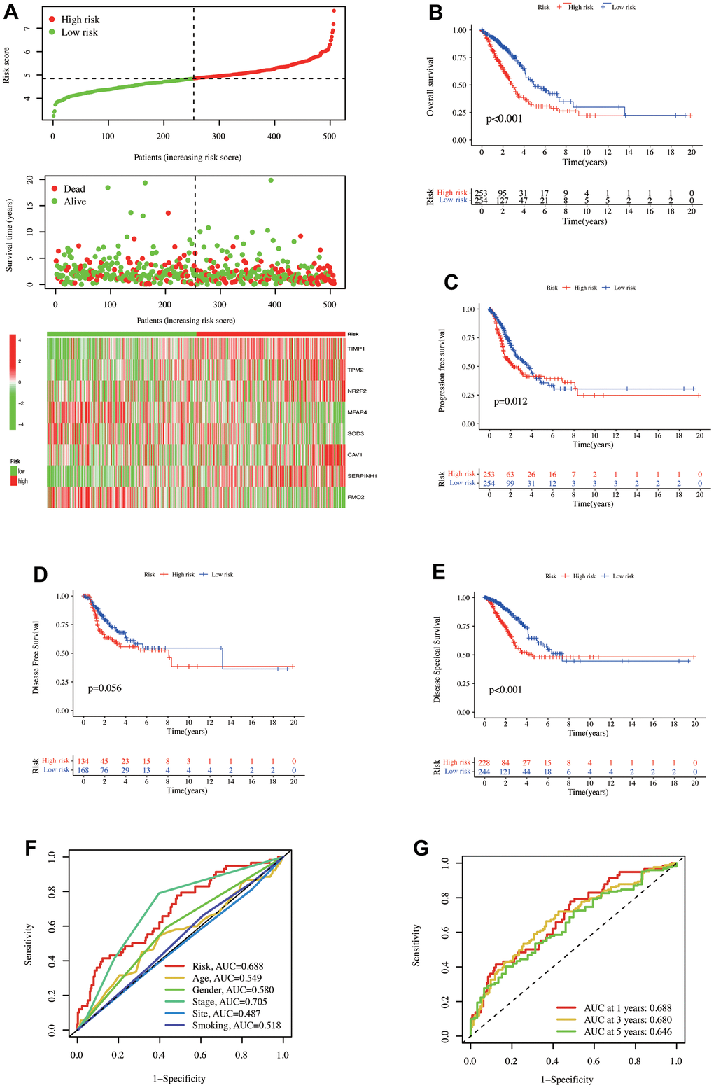 The prediction model of CAFs-related genes was established in the TCGA database. (A) Distribution of risk scores and OS status. 8 gene expressions were involved in the model construction in the high- and low-risk groups. Kaplan-Meier curve illustrated the differences between high- and low-risk groups for (B) OS, (C) PFS, (D) DFS, and (E) DSS. (F) ROC curves for risk scores and clinical characteristics. (G) ROC curves for one-, three-, and five-year OS of risk scores in the TCGA database.