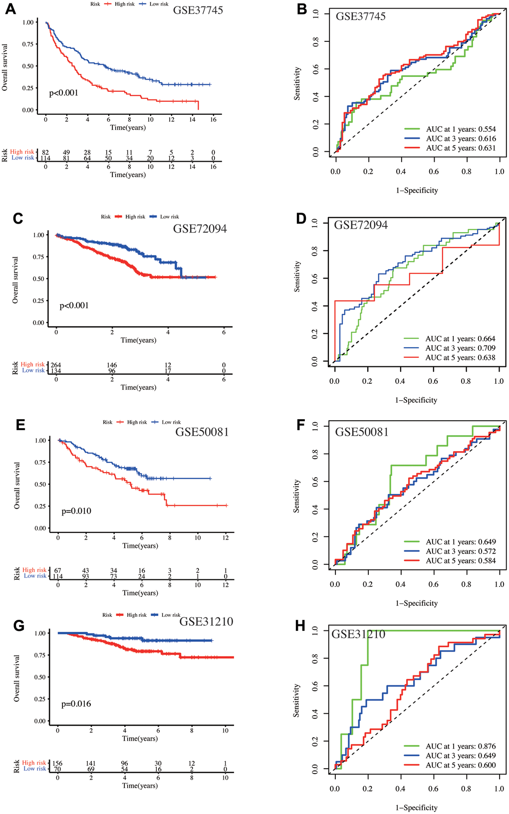 Validation of the model using four independent GEO database cohorts. In the GSE37745 cohort, (A) Kaplan-Meier curves depict the prognosis for the high- and low-risk groups, and (B) the AUC values at one-, three-, and five-year. In the GSE72094 cohort, (C) Kaplan-Meier curves show the prognosis of the high- and low-risk groups, and (D) the AUC values at one-, three-, and five-year. In the GSE50081 cohort, (E) K-M curves display the prognosis for the high- and low-risk groups, and (F) the AUC values at one-, three-, and five-year. In the GSE31210 cohort, (G) Kaplan-Meier curves depict the prognosis of the high- and low-risk groups, and (H) the AUC values at one-, three-, and five-year.