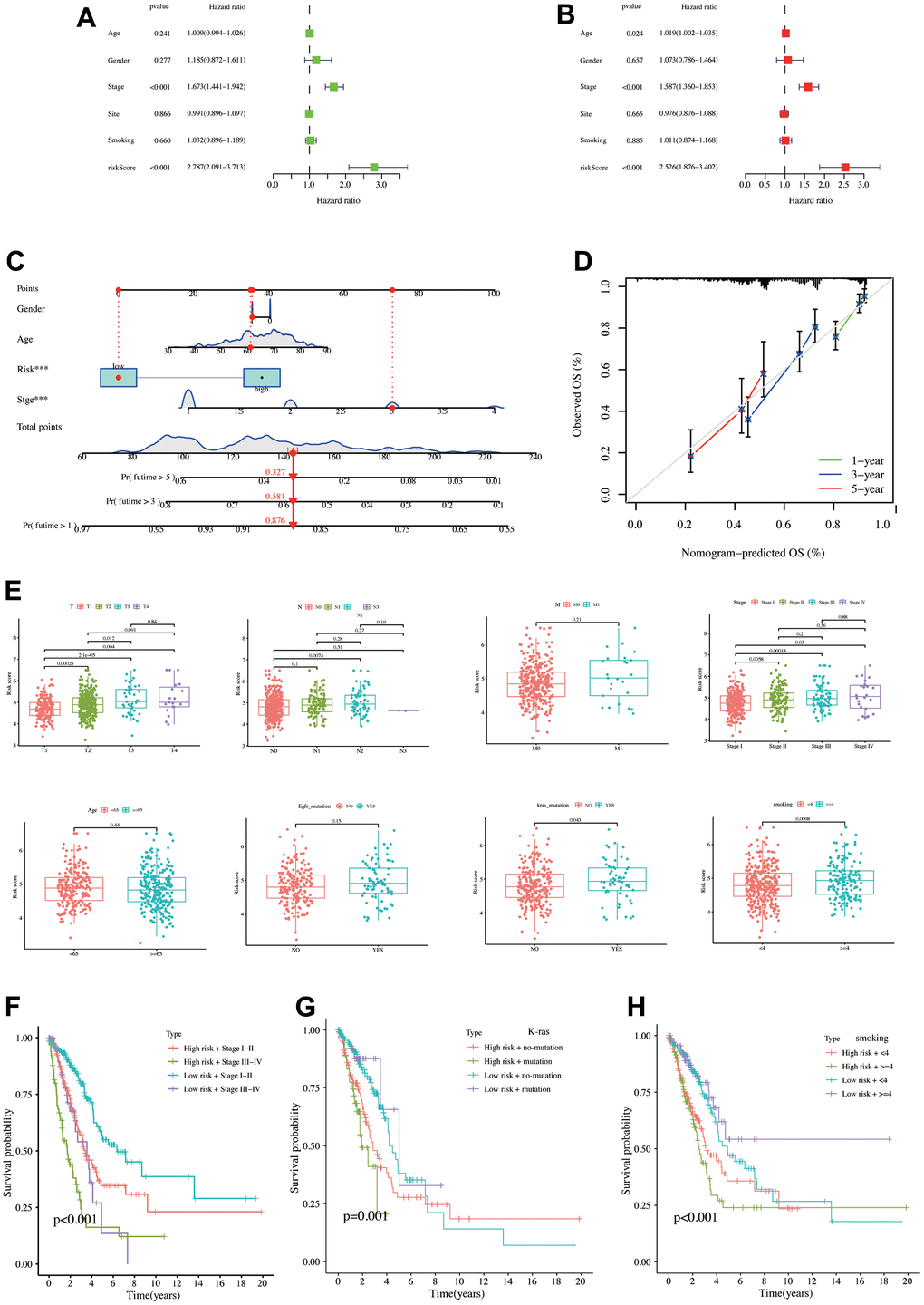 Establishment and validation of nomograms, risk score differences between different clinical characteristics. (A) Univariate COX regression analysis. (B) Multivariate COX regression analysis. (C) Nomogram constructed using risk score and clinical characteristics. (D) Calibration curve of the nomogram. (E) Risk score differences between different clinical characteristics. The K-M analysis curves for the patients stratified by (F) risk score and stage, (G) risk score and K-Ras mutation status, (H) risk score, and smoking level.