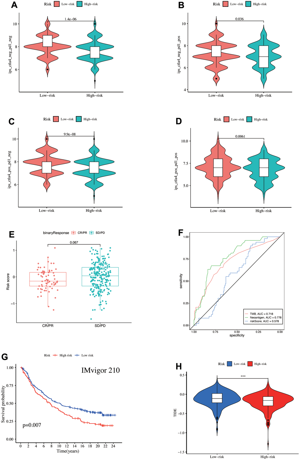 (A–D) IPS score differences. Validation of the model's ability to predict immunotherapy response in the IMvigor210 cohort, (E) Comparison of the risk score differences between CR + PR and SD + PD groups, (F) ROC curve illustrated the ability of TMB, Neoantigen, and risk-score to predict the efficacy of immunotherapy, (G) survival prognosis of high- and low-risk groups. (H) TIDE score differences in the TCGA database.