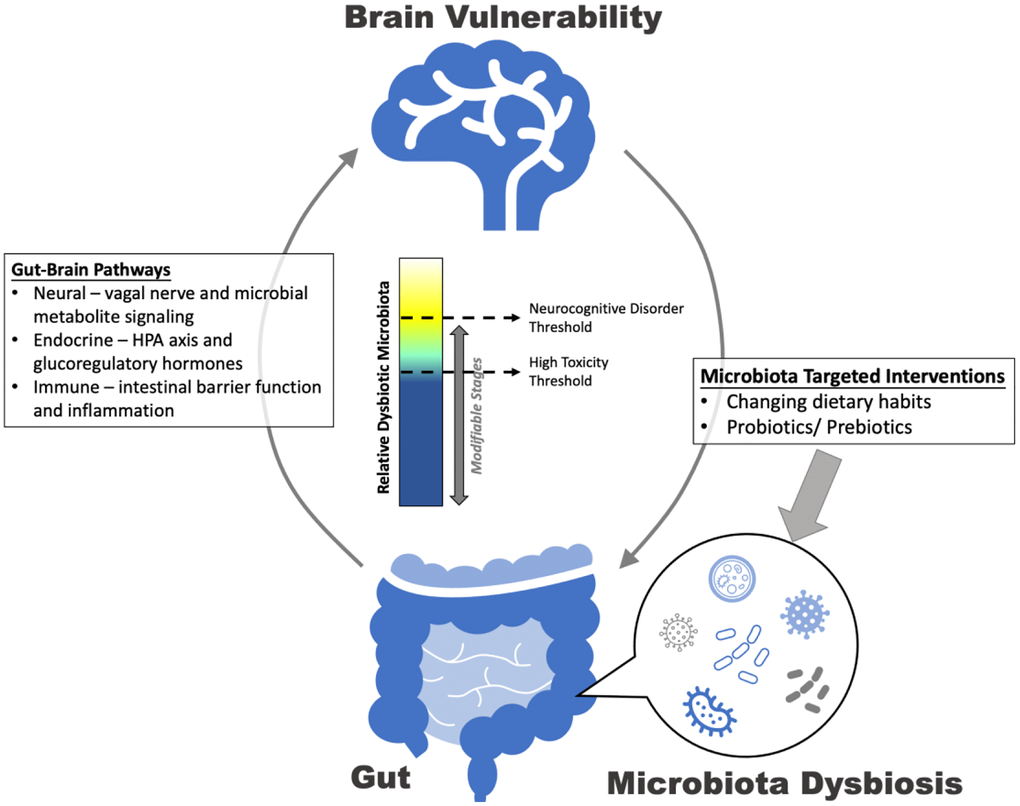A seed and soil model of gut dysbiosis.