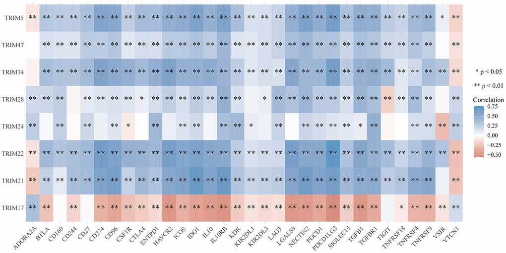 Correlation analyses of the expression profiles of TRIM family with immune checkpoint molecules in gliomas. The horizontal and vertical ordinates represent genes, and different colors represent correlation coefficients (in the diagram, blue represents positive correlation, red represents negative correlation), and the darker the color represents the two stronger correlations. *p **p ***p 