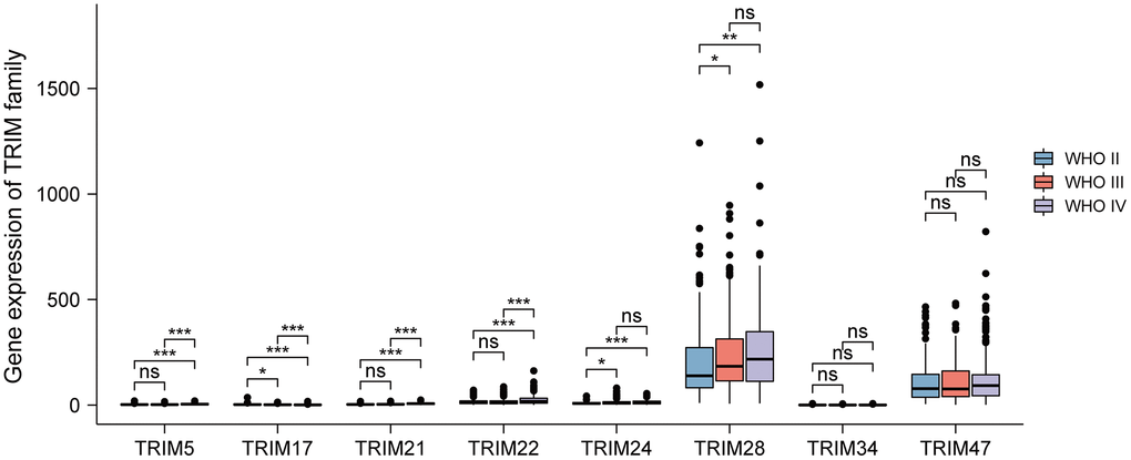 Relationship between diverse TRIM family expression level and different WHO grades. ns, p ≥ 0.05; *p **p ***p 