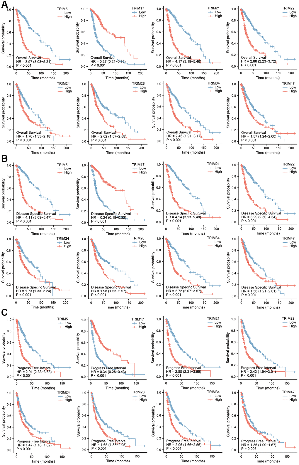 Prognostic feature of mRNA expression of distinct TRIM family members in glioma patients. The OS, DSS, and PFI survival curves comparing patients with high and low TRIM family member expression in gliomas are shown (A–C). Abbreviations: OS: overall survival; DSS: disease-specific survival; PFI: progress-free interval.
