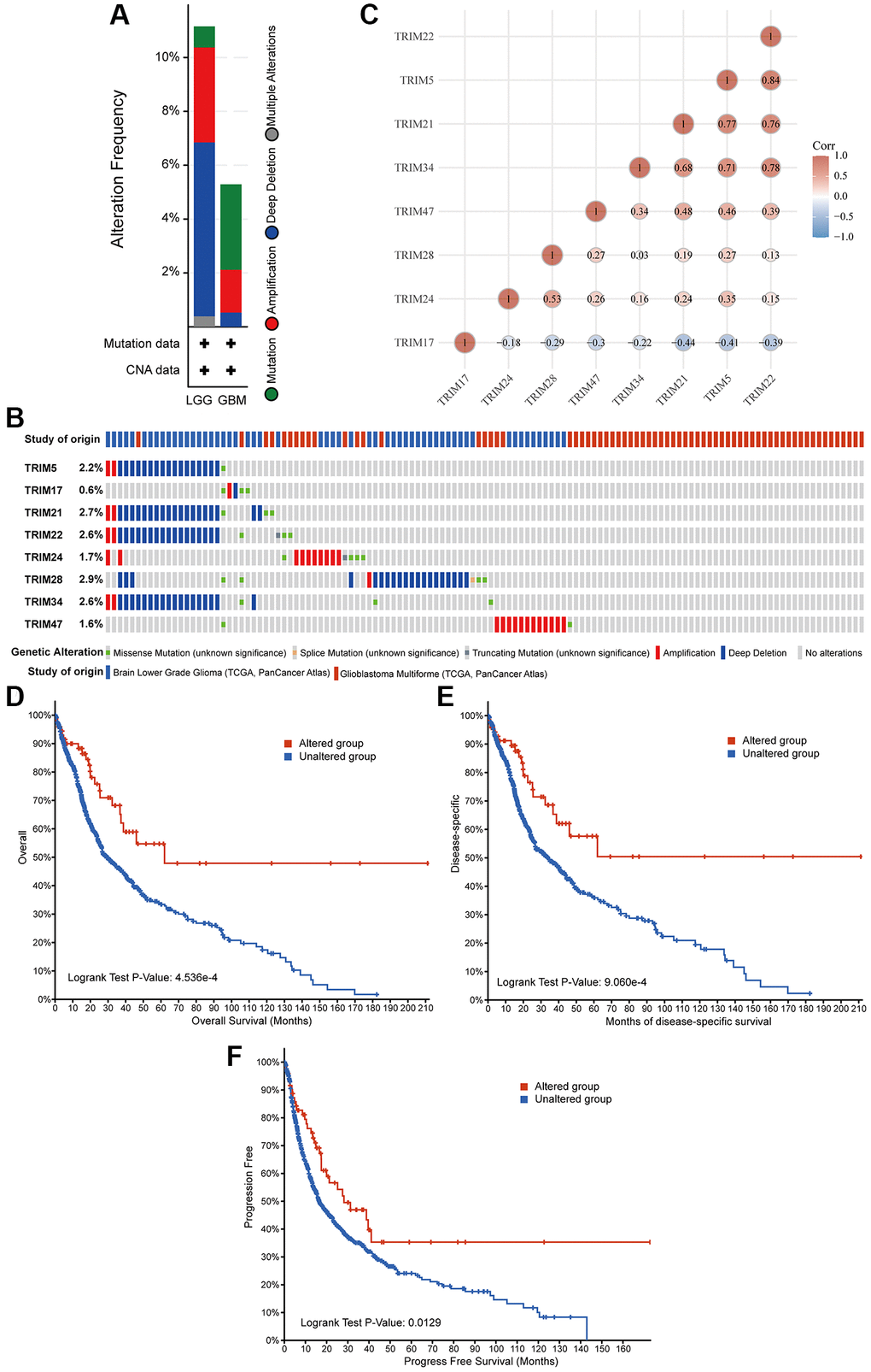 Genetic alterations in eight TRIM family members and their association with prognosis of glioma patients. Summary of alterations in different expressed TRIM families in gliomas (A, B). Correlations of different TRIM family members with each other (C). Genetic alterations in TRIM family were correlated to longer OS (D), DSS (E), PFS (F) of glioma patients. Abbreviation: PFS: progress-free survival.
