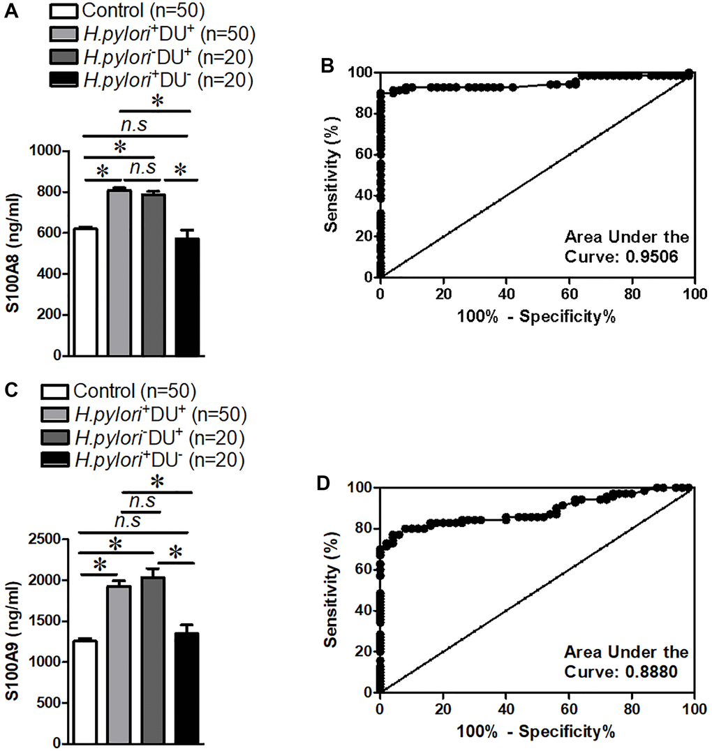 S100A8/A9 expression and receiver operating characteristic curve analyses in the serum of children with duodenal ulcer. (A) Summary of S100A8 expression. (B) Receiver operating characteristic curve analyses of S100A8. (C) Summary of S100A9 expression. (D) Receiver operating characteristic curve analyses of S100A9. H.pylori−: non-Helicobacter pylori infected, H.pylori+: Helicobacter pylori infected, DU−: non-duodenal ulcer, DU+: duodenal ulcer. *P H.pylori+DU+ group or H.pylori−DU+ group, n.s > 0.05 compared with Control or H.pylori+DU+ group.