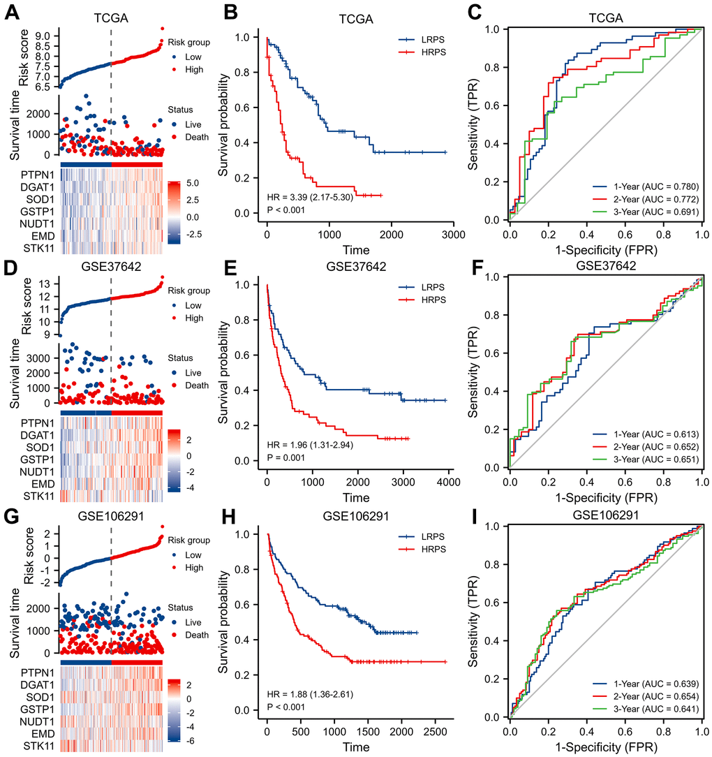 Identification and validation of a seven-ARGs prognostic model. (A) Plot of risk classification, survival status and heatmap of seven-ARGs; (B) curve of OS (Overall Survival) stratified by high-risk prognostic score (HRPS)-group/high-risk group and low-risk prognostic score (LRPS)-group/low-risk group; (C) curves of time-dependent ROC (receiver operator characteristic) in training set. (D–F) Plot of risk classification, survival status and heatmap of seven-ARGs; curve of OS; curves of time-dependent ROC in validation set of GSE37642. (G–I) Plot of risk classification, survival status and heatmap of seven-ARGs; curve of OS; curves of time-dependent ROC in validation set of GSE106291.