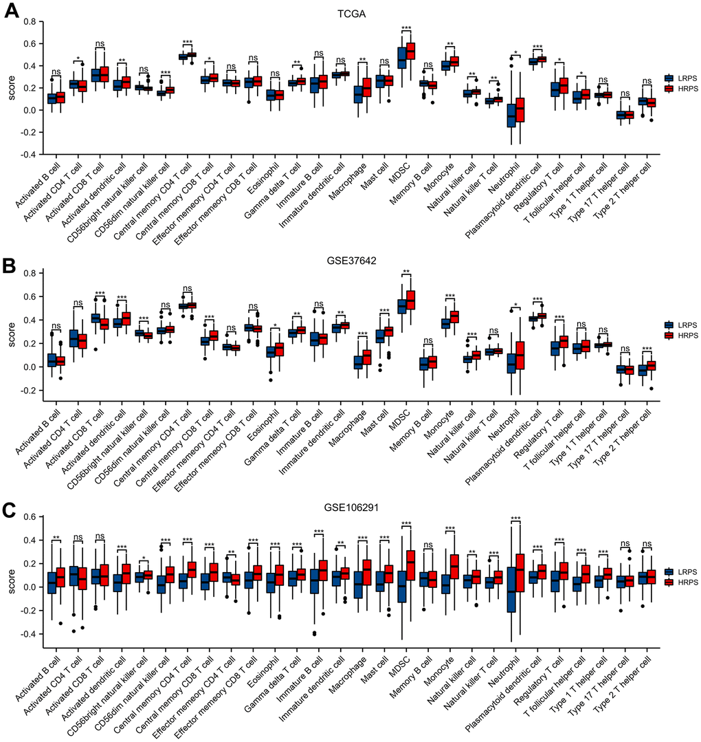 Different cell abundance of twenty-eight immune categories between HRPS-group/high-risk group and LRPS-group/low-risk group in training set (A) and validation set (B, C). (*P 
