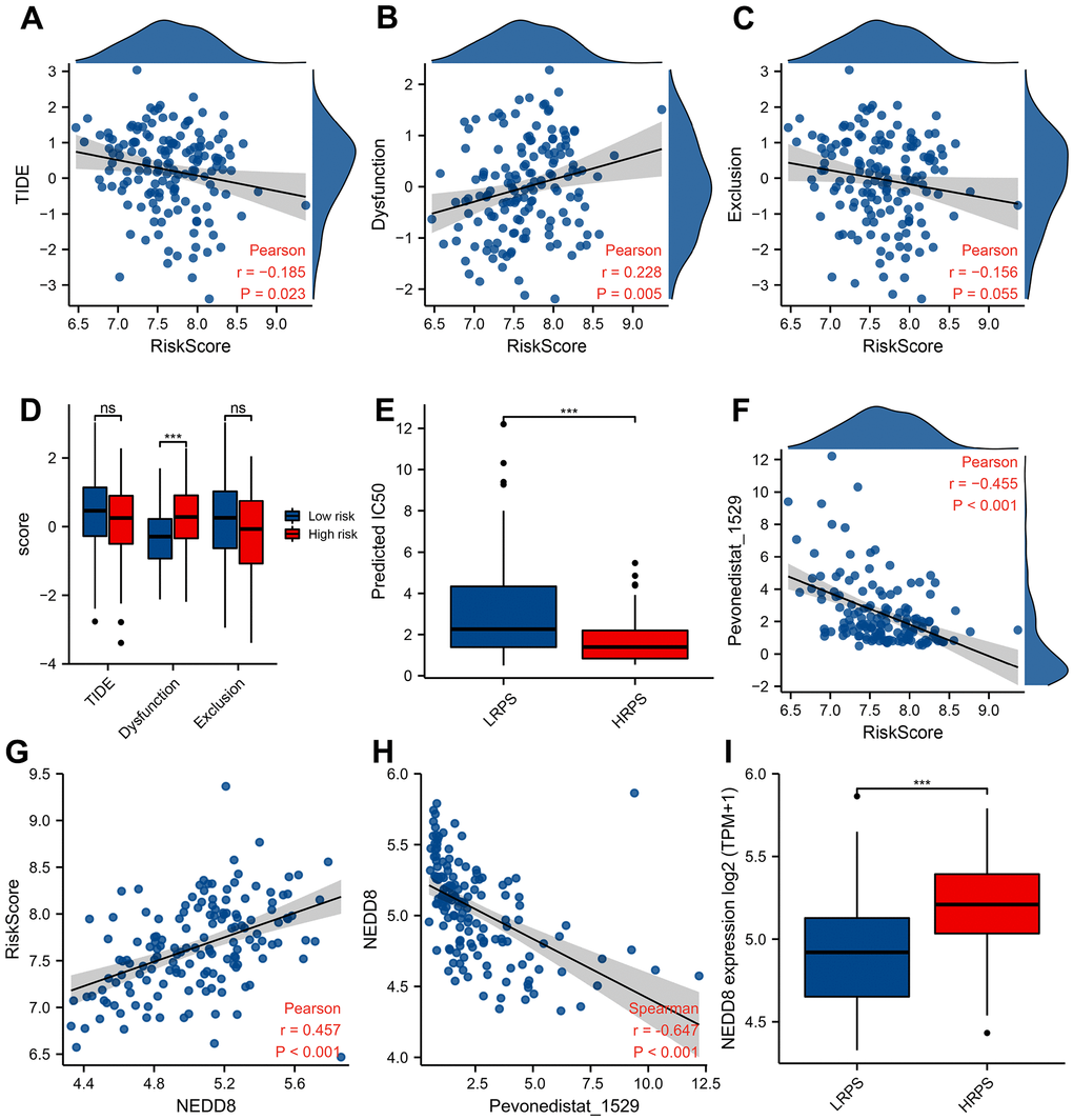 Predictive response of checkpoint blocking-up and drug in training cohort. Correlation between PRS and TIDE score (A), Dysfunction score (B), and Exclusion score (C). Boxplot of TIDE/Dysfunction/Exclusion score (D) and IC50 value of Pevonedistat (E) in HRPS-group/high-risk group and LRPS-group/low-risk group. (F) Relationship between Pevonedistat IC50 and PRS according to 7-ARGs signature, and an outlier was removed from curve of Pearson correlation analysis. Correlation analysis of PRS (G) and Pevonedistat’s IC50 (H) with the NEDD8 expression level. Boxplot of NEDD8 expression level in HRPS-group/high-risk group and LRPS-group/low-risk group (I).