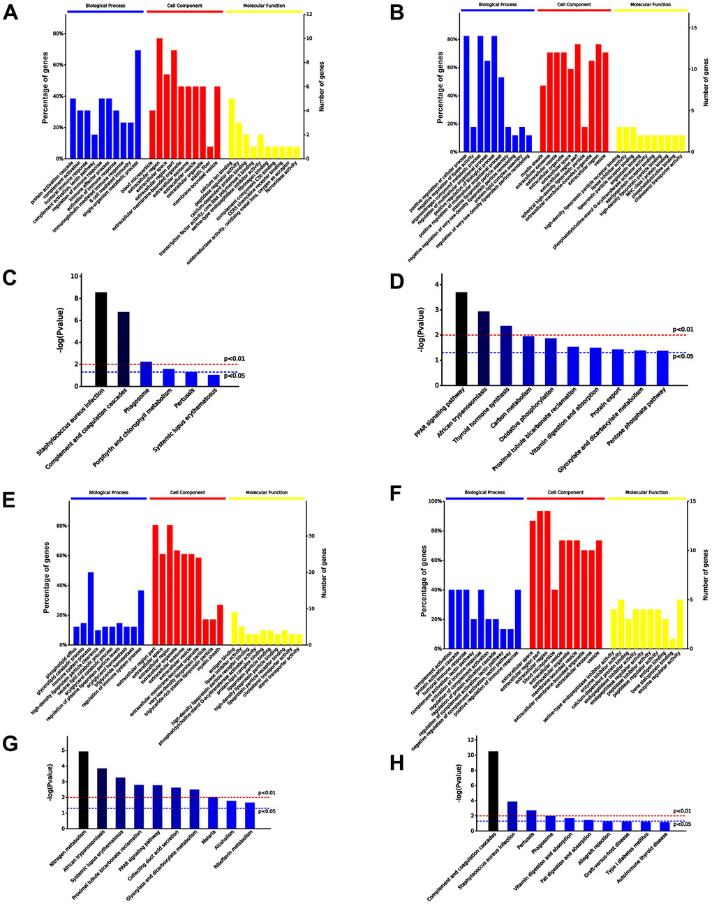 Comparison of serum exosomal proteins between old and young mice groups. (A, B) Gene ontology (GO) functional annotation of up- and down-regulated exosomal proteins in old serum group, respectively. (C, D) Kyoto Encyclopedia of Genes and Genomes (KEGG) pathway enrichment analysis of upregulated and downregulated exosomal proteins in old serum group. (E) GO functional annotation of upregulated exosomal proteins in old mice pre-injected with iPSC-exosomes. (F) GO functional annotation of the downregulated exosomal proteins in old mice pre-injected with iPSC-exosomes. (G) KEGG pathway enrichment analysis of upregulated exosomal proteins of old mice pre-injected with iPSC-exosomes. (H) KEGG pathway enrichment analysis of downregulated exosomal proteins of old mice pre-injected with iPSC-exosomes. BP, biological process; MF, molecular function; CC, cellular component.