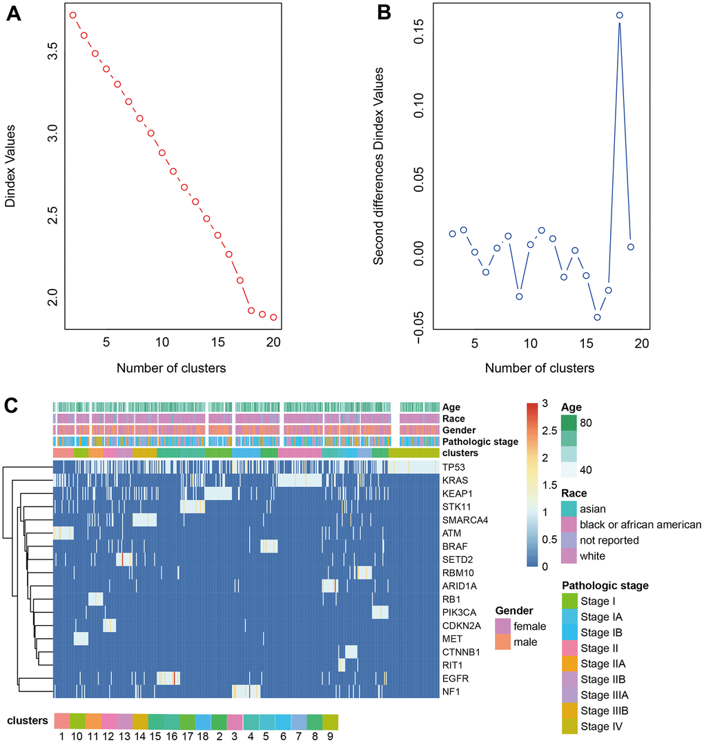 Clustering analysis LUAD. (A, B) The cluster analysis of hierarchical cluster with the optimal parameters. (C) The heatmap of 18 clusters containing the clinical features.