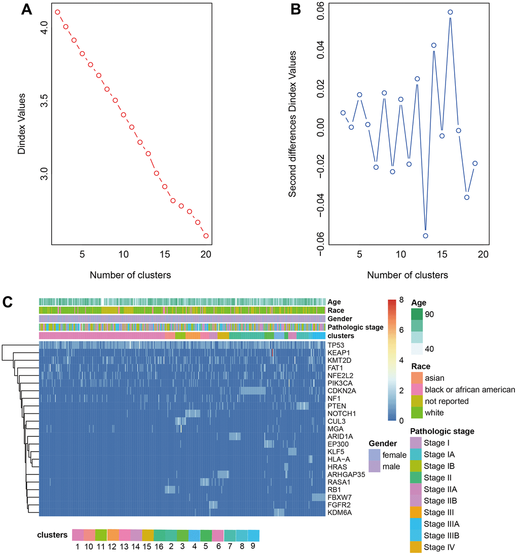 Clustering analysis LUSC. (A, B) The cluster analysis of hierarchical cluster with the optimal parameters. (C) The heatmap of 16 clusters containing the clinical features.