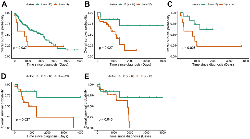 Survival analysis between subgroups of LUSC. (A–E) The survival probabilities between different clusters in LUSC. The statistical analysis was calculated based on log-rank test.