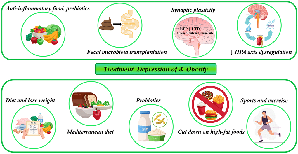 Map of potential and possible future treatment options for depression and obesity comorbidity. LTP, long-term potentiation; LTD, long-term depression; HPA axis, hypothalamo-pituitary-adrenal axis.