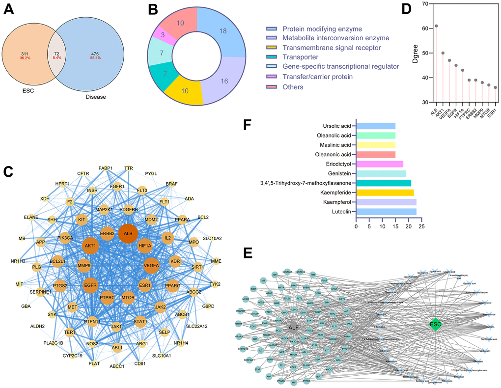 Network pharmacology analysis for components in ESC. (A) The intersection of ESC targets and ALF targets. (B) The protein classification of targets of ESC against ALF. (C) PPI networks of ESC against ALF-related targets. (D) The degree score of core targets. (E) ESC-ingredient-target network. (F) Top 10 key components in ESC.