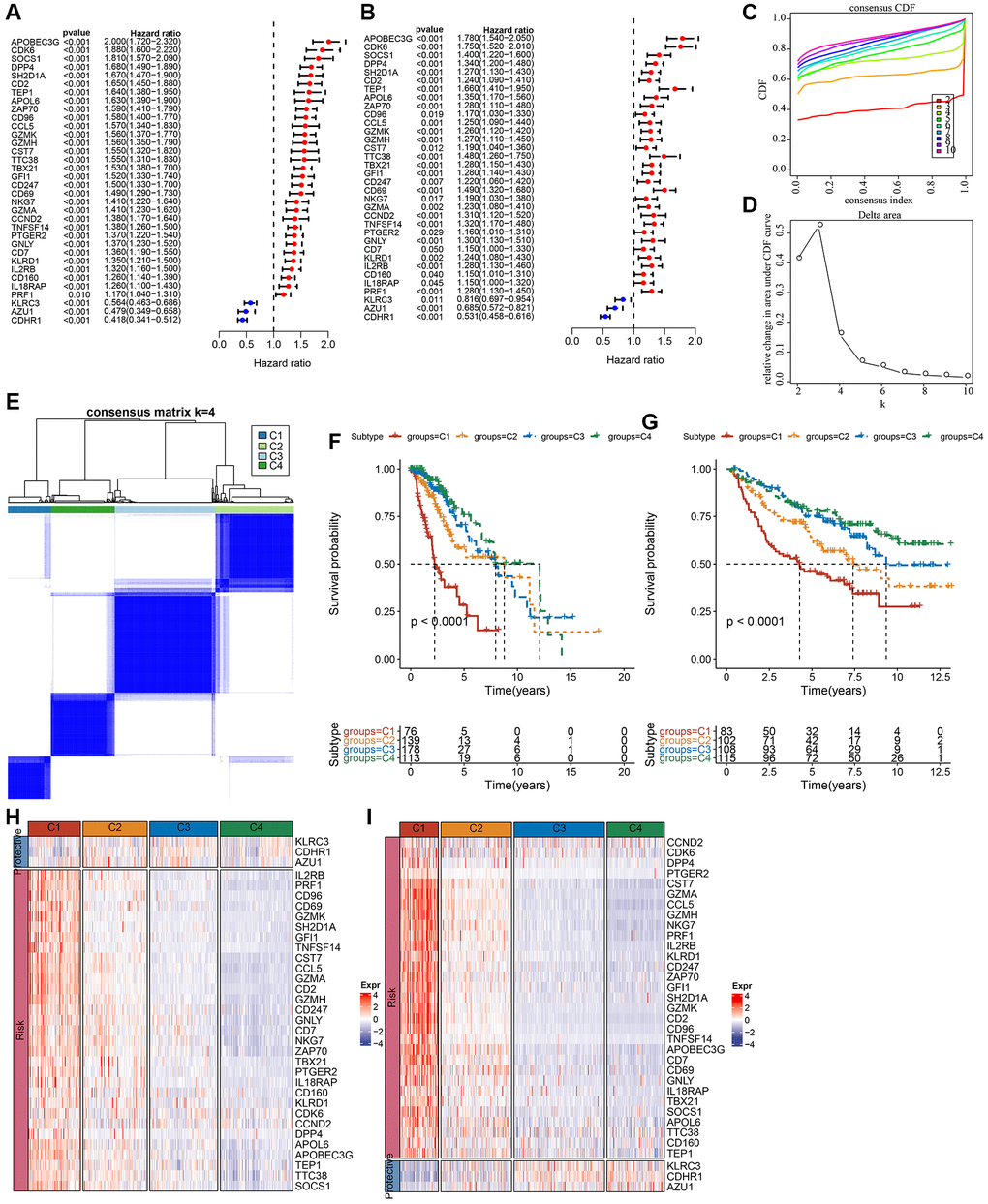 Molecular subtyping of LGG based on NK cell-related genes. (A) Univariate Cox forest plot of NK cell-related genes in the TCGA-LGG cohort. (B) Multivariate Cox forest plot of NK cell-related genes in the CGGA-LGG cohort. (C) CDF curve of samples in the TCGA-LGG cohort. (D) CDF delta area curve of TCGA-LGG cohort samples area curve, Delta area curve of consensus clustering indicated the relative variation in the area under the CDF curve for each category number k in comparison with k−1. The vertical axis represents the relative change in area under the CDF curve, the horizontal axis represents the category number k. (E) A heat map of sample clustering at consensus k = 4. (F) K-M survival curves showing the prognosis of the four subtypes in the TCGA-LGG cohort. (G) K-M survival curves for the prognosis of the four subtypes in the CGGA cohort. (H) A heat map showing the expression of prognostically significant NK cell-related genes in various subtypes in TCGA-LGG. (I) A heat map of the expression of prognostically significant NK cell-associated genes in various subtypes in CGGA. Abbreviations: CDF: cumulative distribution function; expr: expression; LGG: low-grade glioma; NK: natural killer; TCGA: The Cancer Genome Atlas; CGGA: Chinese Glioma Genome Atlas; K-M: Kaplan-Meier.