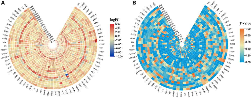 The expression levels of NK cell-related genes in pan-cancer. (A) logFC values of differential expression analysis. (B) p values of differential expression analysis.