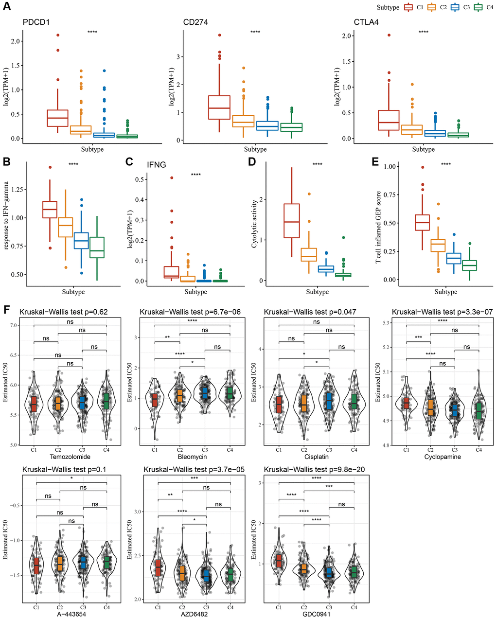 Immunological characteristics scores characterizing the effect of immunotherapy in different subtypes. (A) Expression differences of immune checkpoint-related genes among molecular subtypes. (B) Variation in response to IFN-γ among molecular subtypes. (C) The difference in expression of IFNG gene among molecular subtypes. (D) Differences in “Cytolytic activity” among molecular subtypes. (E) Variation in the T cell inflamed GEP score among molecular subtypes. (F) A box plot of the estimated IC50 values for temozolomide, bleomycin, cisplatin, cyclopamine, A-443654, AZD6482, and GDC0941 in TCGA-LGG. *P **P ***P ****P 50: half-maximal inhibitory concentration; TCGA: The Cancer Genome Atlas; LGG: low-grade glioma.