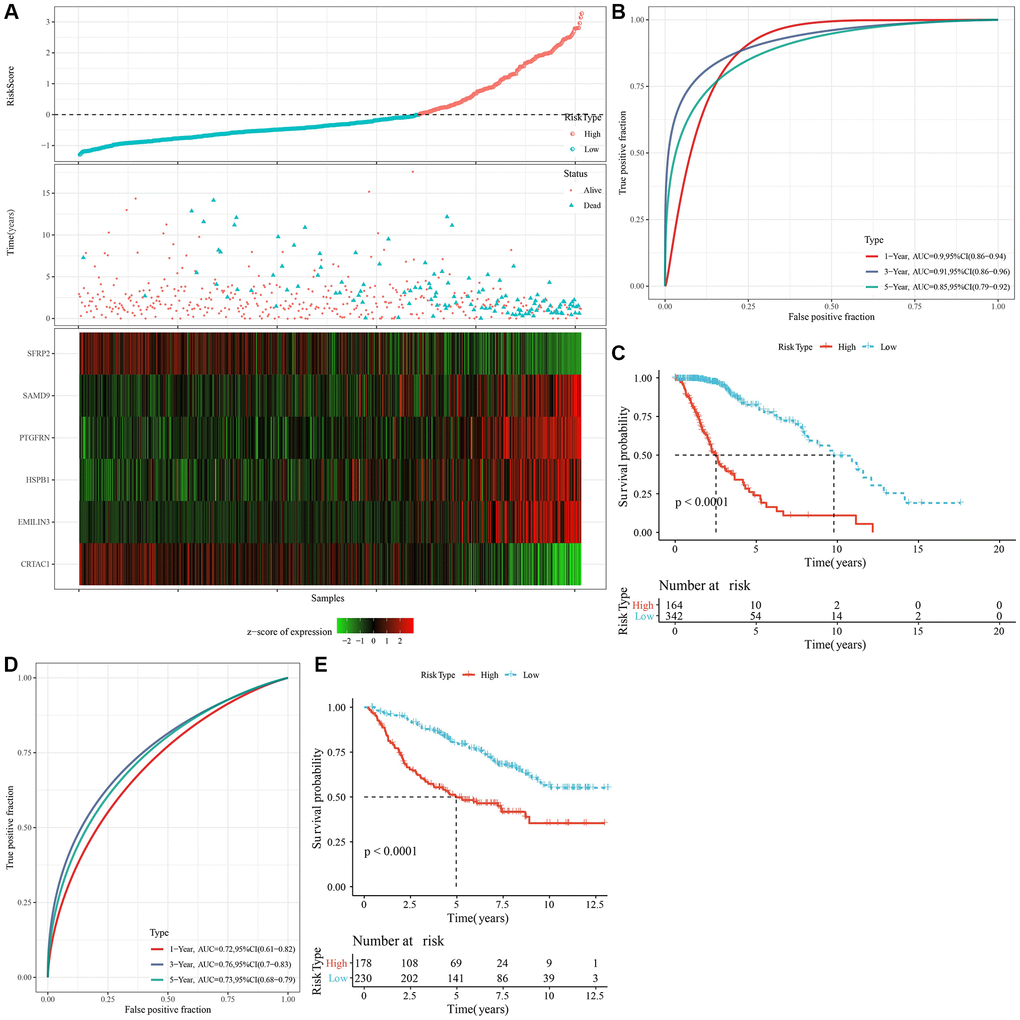 Calculation of RiskScore and determination of its robustness by ROC. (A) The RiskScore, survival status, survival time, and expression of oxidative stress-related prognostic genes in the TCGA dataset. (B) The ROC curve and AUC of RiskScore classification in the TCGA dataset. (C) The K-M survival curve distribution of RiskScore in the TCGA dataset. (D, E) The ROC curve and K-M survival curve of RiskScore in the CGGA cohort. Abbreviations: AUC: area under the ROC curve; CI: confidence interval; ROC: receiver operating characteristic; TCGA: The Cancer Genome Atlas; K-M: Kaplan-Meier; CGGA: Chinese Glioma Genome Atlas.