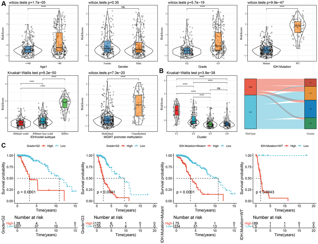 Association of RiskScore with clinical information in TCGA dataset. (A) Differences in RiskScore among different clinicopathological groups in the TCGA-LGG cohort; (B) Differences in RiskScore among different molecular subtypes in the TCGA-LGG cohort; (C) KM curves between high and low RiskScore groups in different clinical subgroup. Abbreviations: TCGA: The Cancer Genome Atlas; LGG: low-grade glioma; K-M: Kaplan-Meier.