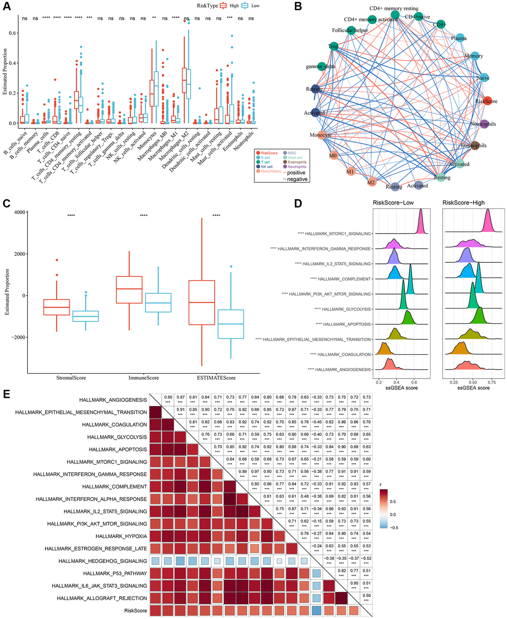 Different infiltration levels of various immune cells between the two RiskScore groups. (A) The amount of immune cell components in the TCGA cohort. (B) Correlation analysis of RiskScore with 22 immune cell components in the TCGA cohort. (C) The proportion of immune cell components in the TCGA cohort calculated by ESTIMATE software. The red box indicates high-risk group, and blue box indicates low-risk group. (D) Top 10 pathways with the most significant differences between low-RiskScore and high-RiskScore groups. (E) Correlation between KEGG pathways with correlation coefficient >0.5 and RiskScore. **P ***P ****P 