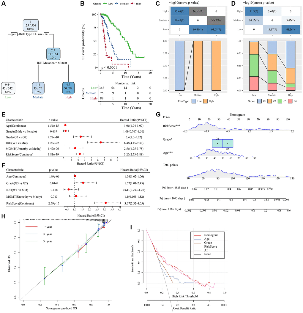 Determination of optimal prognostic factors by decision tree and their reliability. (A) Patients with full-scale annotations, including gender, RiskScore, age, and TNM stage, were employed to develop a survival decision tree for optimizing the risk stratification. (B) Significant differences in OS were found among the 4 risk subgroups. (C, D) Comparative analysis on different subgroups. (E, F) Univariate and multivariate Cox analyses of clinicopathological characteristics and RiskScore. (G) Nomogram model. (H) 1-, 3-, and 5-year calibration curves of the nomogram. (I) Decision curves of the nomogram. *P ***P 