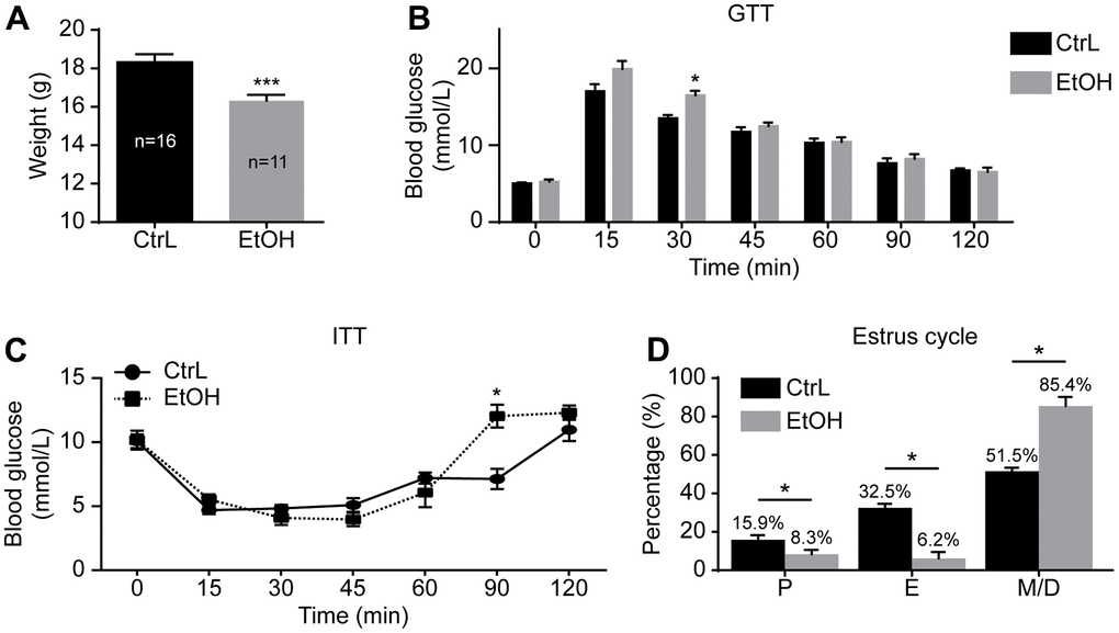 Establishment of prepubertal chronic ethanol-exposed mouse model. (A) Body weight. (B) Blood glucose levels in glucose tolerance test (GTT). (C) Blood glucose levels in insulin resistance test (ITT). (D) Estrous cycle. P, proestrus, E, estrus; M/D, metestrus and diestrus; *, p