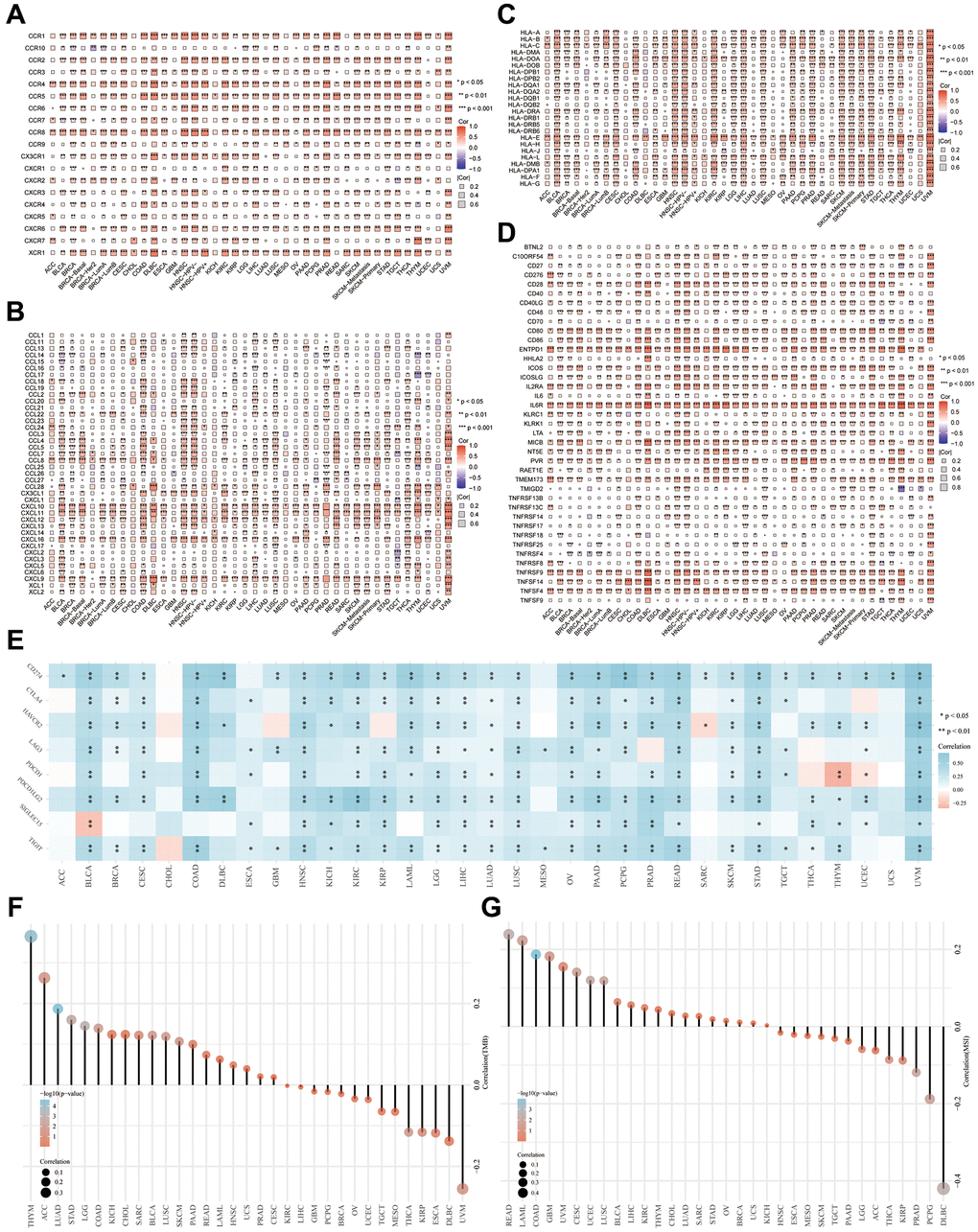 Involvement of ADAR in tumor immune response. (A–D) ADAR is positively correlated with the expression of chemokines, chemokine receptors, HLAs, and tumor necrosis factors (TNF) in most cancers. (E) Correlation analysis between ADAR and ICIs. (F) ADAR and TMB achieved high positive correlation in THYM, ACC, LUAD, STAD, LGG, COAD, KICH, CHOL, SARC, and BLCA. (G) ADAR was significantly associated with MSI in READ, LAML, COAD, GBM, UVM, CESC, UCEC, LUSC, BLCA, and LIHC.