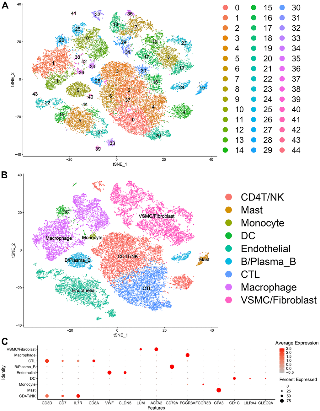 Single-cell transcriptome data: (A, B) The single cells were divided into 45 groups on the basis of their transcriptome data and then ultimately divided into 9 cell populations. (C) Circle chart: The X-axis represents the marker genes that define the cells, and the Y-axis represents the different cell populations.