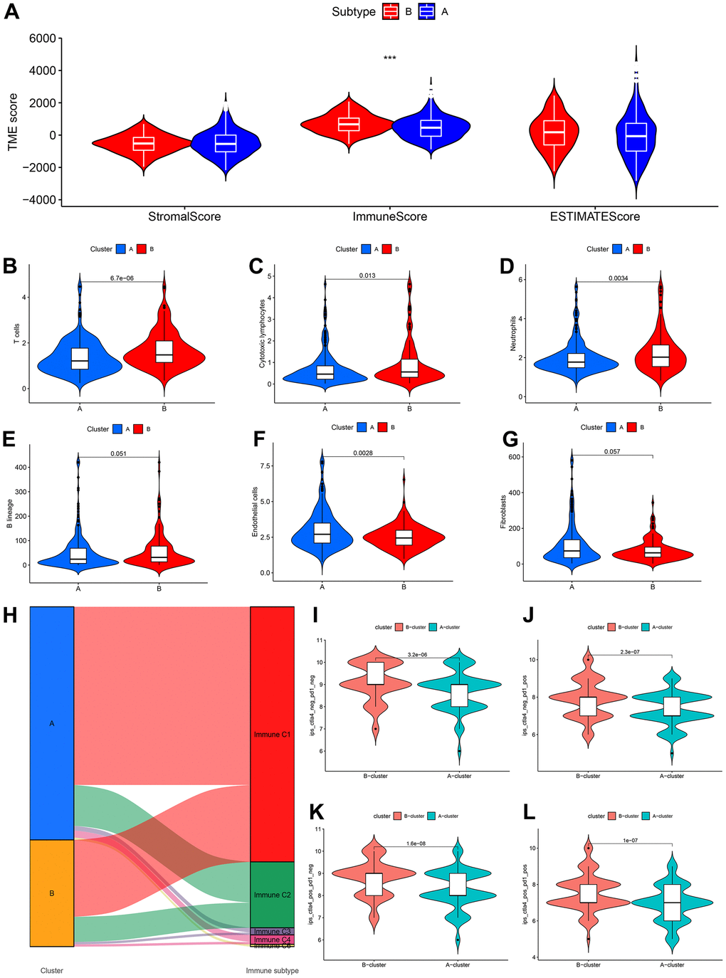 CDM subtypes associated with immunotherapeutic response predictors in TCGA-COAD datasets. (A) Tumor immune microenvironment analysis between CDM immune subtype A and subtype B by Microenvironment Cell Populations counter algorithm. (B–G) The association between CDM subtypes and immune cell infiltration; (B) for T cells; (C) for cytotoxic lymphocytes; (D) for neutrophils; (E) for B lineages; (F) for endothelial cells; (G) for fibroblasts. (H) Sankey diagram between the CDM subtypes and immune subtypes (C1-C6). (I–L) Relationship between the CDM subtypes and the immunotherapy data of PD1 and CTLA4 (I) for PD1 and CTLA4 negative expression; (J) for PD1 positive expression and CTLA4 negative expression; (K) for CTLA4 positive expression and PD1 negative expression; (L) for PD1 and CTLA4 negative expression.
