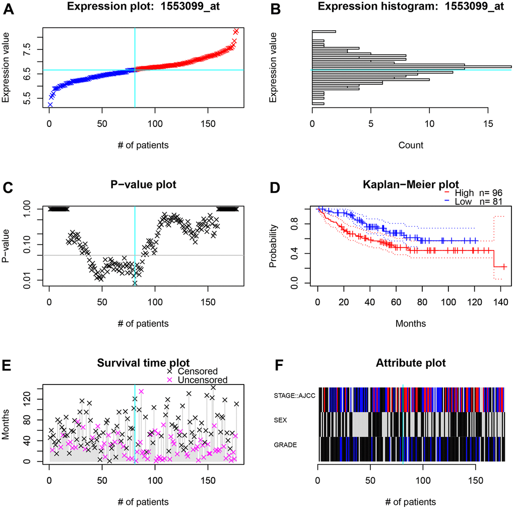 The survival and clinicopathological classifications of TIGD1 in GSE17536 cohort. (A) Expression plot. CC patients are ordered by the TIGD1 expression. Cyan lines show the optimal cutpoints that dichotomize patients into high (red) and low (blue) expression groups. (B) TIGD1 expression histogram. The line of the optimal cutpoint is also shown (cyan). (C) P-value plot of TIGD1. For each potential cutpoint of expression measurement, patients are dichotomized and survival difference between high and low expression groups is calculated by log-rank test. The cutpoint to minimize the P-value is determined and indicated by the cyan line. (D) Kaplan-Meier plot of TIGD1. Survival curves for high (red) and low (blue) expression groups dichotomized at the optimal cutpoint are plotted. 95% confidence intervals for each group are also indicated by dotted lines. (E) Survival scatter plot of TIGD1. A dot represent a CC patient (pink represents uncensored, black represents censored). (F) Heatmap of TIGD1 expression among stage, sex and grader. Black represents low expression and red represents high expression.