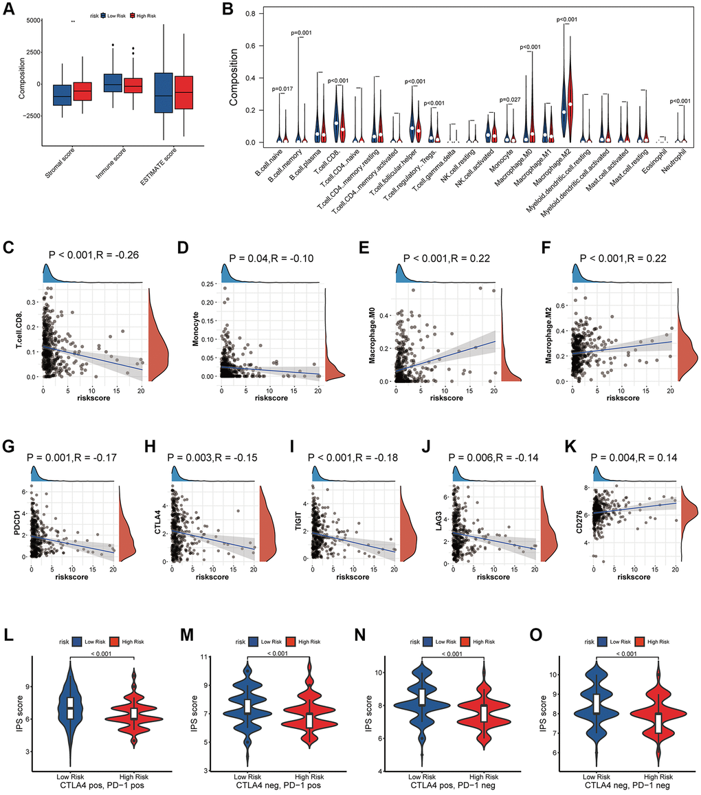 Effects of abnormal expression of coagulation-related genes on tumor immune microenvironment. (A) Estimate socre analysis based on coagulation-related risk signature. (B–F) Lymphocyte infiltration analysis based on coagulation-related risk signature. (G–K) Correlation analysis between coagulation-related risk score and immune checkpoint markers. (L–O) IPS score analysis based on coagulation-related risk signature.