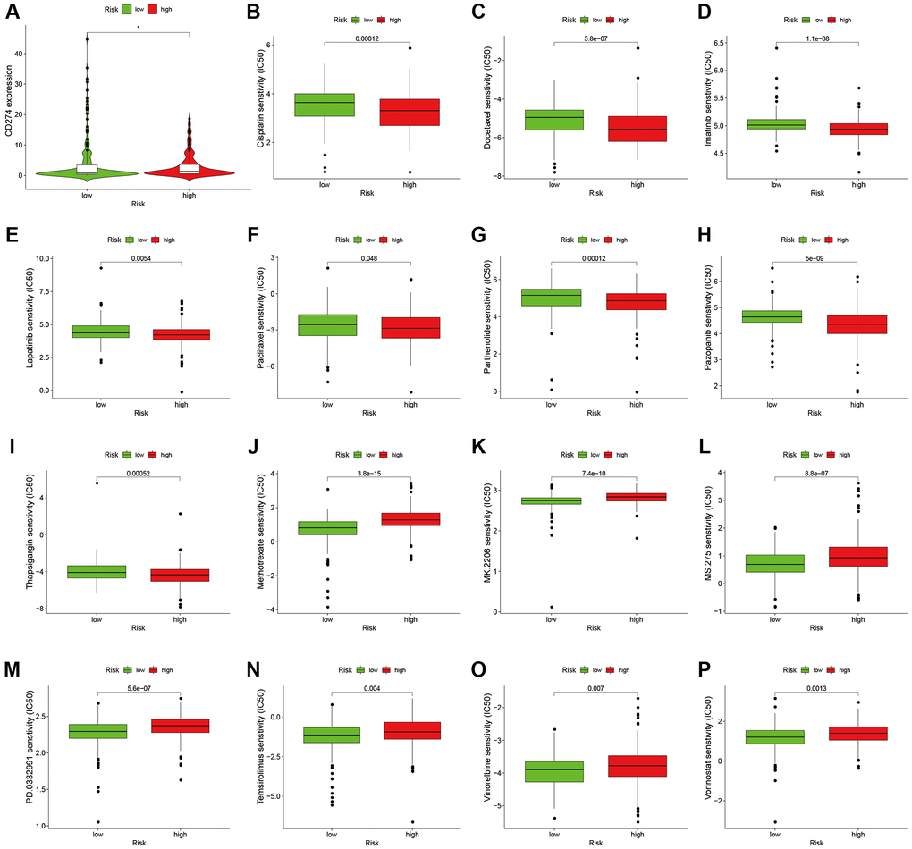 Comparison of treatment drugs sensitivity between high-risk and low-risk groups. (A) PD-L1 expression in high and low risk groups. (B) IC50 of cisplatin in high and low risk groups. (C) IC50 of docetaxel in high and low risk groups. (D) IC50 of imatinib in high and low risk groups. (E) IC50 of lapatinib in high and low risk groups. (F) IC50 of paclitaxel in high and low risk groups. (G) IC50 of parthenolide in high and low risk groups. (H) IC50 of pazopanib in high and low risk groups. (I) IC50 of thapsigargin in high and low risk groups. (J) IC50 of methotrexate in high and low risk groups. (K) IC50 of MK.2206 in high and low risk groups. (L) IC50 of MS.275 in high and low risk groups. (M) IC50 of PD.0332991 in high and low risk groups. (N) IC50 of temsirolimus in high and low risk groups. (O) IC50 of vinorelbine in high and low risk groups. (P) IC50 of vorinostat in high and low risk groups. Abbreviation: IC50: half-maximal inhibitory concentration.