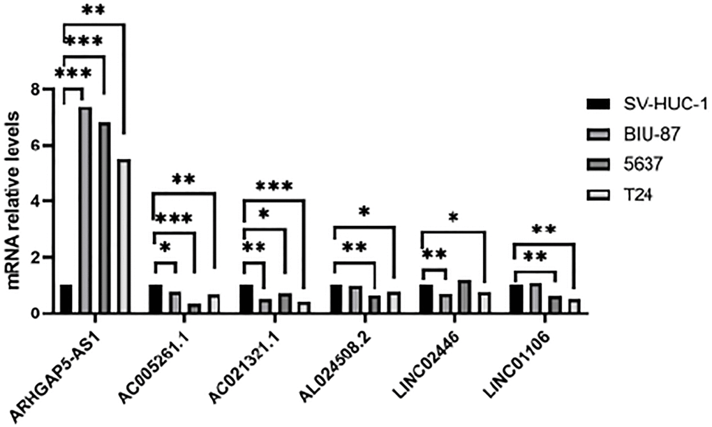 Validation of results through quantitative PCR. Relative mRNA expression of the cuproptosis-related lncRNAs in four cell lines (SV-HUC-1, 5637, BIU-87 and T24).