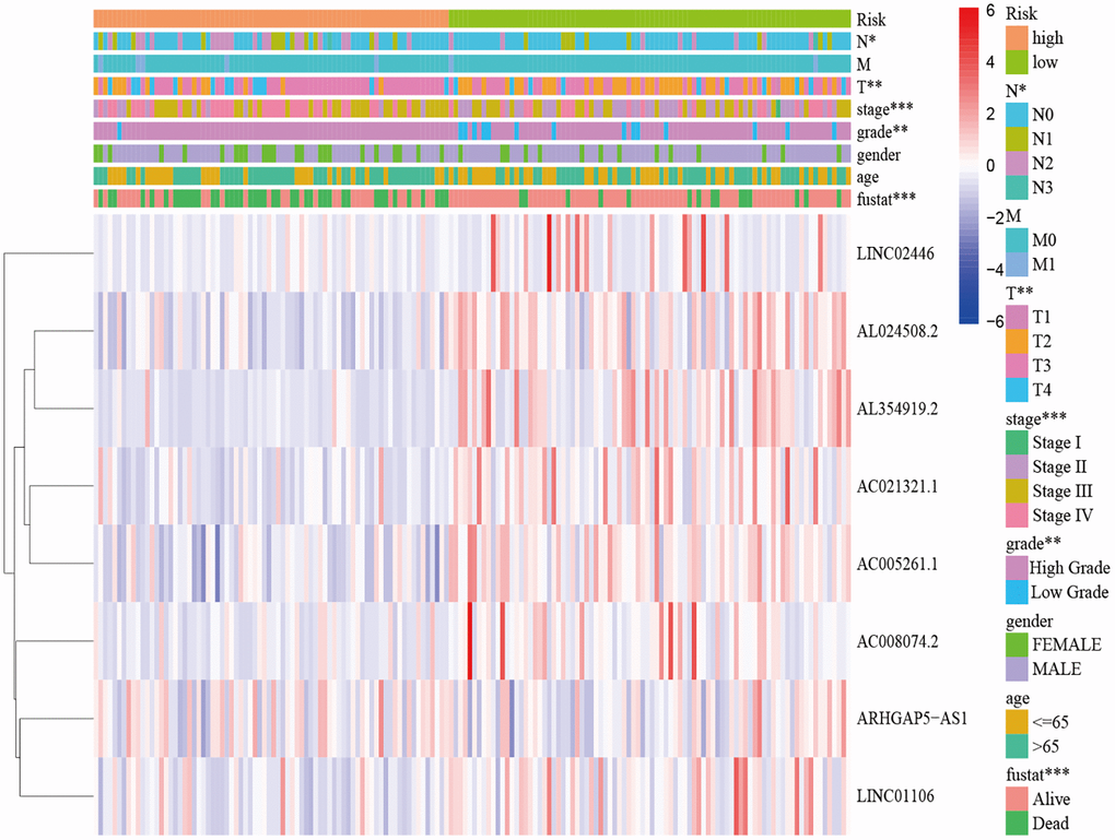Distribution heat map of five prognostic cuproptosis-related lncRNAs and clinicopathological variables in the high-risk and low-risk groups. Abbreviations: lncRNAs: long noncoding RNAs; T: tumor; N: lymph node; M: metastasis.