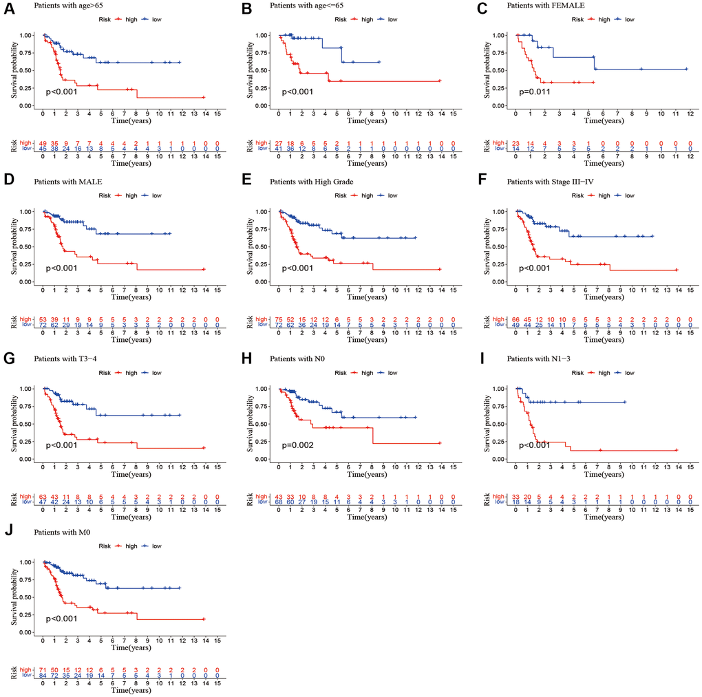 Kaplan-Meier survival curves of high-risk and low-risk groups among patients sorted according to different clinicopathological variables. (A, B) Age; (C, D) Gender; (E) High Grade; (F) Stage III–IV; (G) T3–4 stage; (H, I) N Stage; (J) M0 stage. Abbreviations: T: tumor; N: lymph node; M: metastasis.
