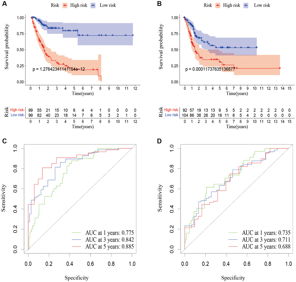 Validation of the predictive signature for OS based on the entire TCGA dataset. (A) Kaplan-Meier survival curve in the training cohort. (B) Kaplan-Meier survival curve in the testing cohort. (C) ROC curve and AUCs at 1-year, 3-years and 5-years survival in the training cohort. (D) ROC curve and AUCs at 1-year, 3-years and 5-years survival in the testing cohort. Abbreviations: OS: overall survival; TCGA: The Cancer Genome Atlas. ROC: receiver operating characteristic; AUC: area under the curve.