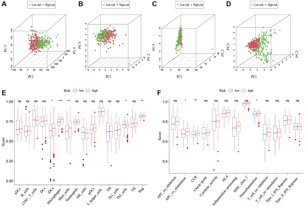 Patients with high-risk and low risk scores have different immune statuses. PCA maps show the distribution of patients based on the (A) whole genome; (B) cuproptosis-related gene sets; (C) cuproptosis-related lncRNAs; and (D) the predictive signature. Results for ssGSEA scores immune cells scores (E) and immune functions scores (F) between high and low risk groups in boxplots. Abbreviations: PCA: Principal component analysis; lncRNAs: long noncoding RNAs; ssGSEA: single-sample gene set enrichment analysis. aDCs: activated dendritic cells; iDCs: immature dendritic cells; NK: natural killer; pDCs: plasmacytoid dendritic cells; Tfh: T follicular helper; Th1: T helper type 1; Th2: T helper type 2; TIL: tumor-infiltrating lymphocyte; Treg: T regulatory cell; APC: antigen-presenting cell; CCR: chemokine receptor; HLA: human leukocyte antigen; MHC: major histocompatibility complex; IFN: interferon.