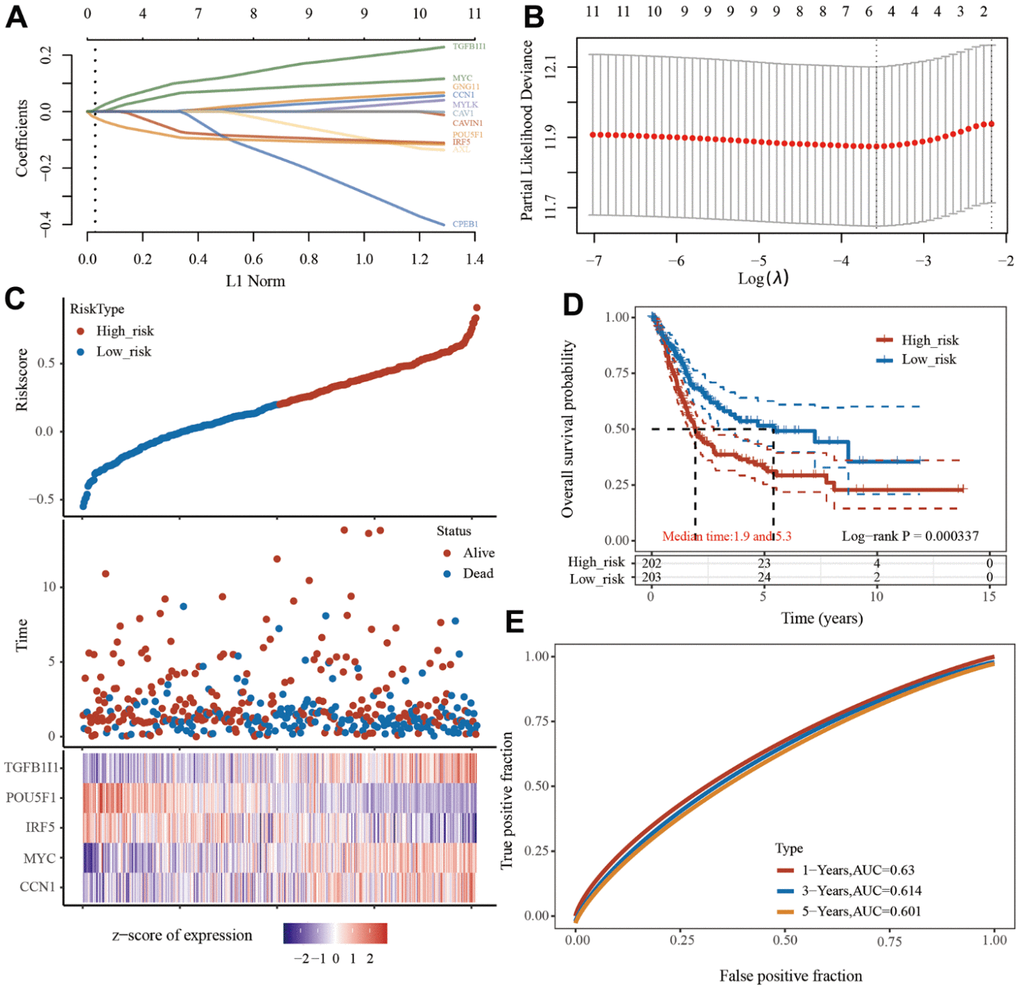 Prognostic model of senescence-related genes. (A) Partial likelihood deviance versus log (λ) was drawn using LASSO Cox regression model. (B) Coefficients of selected features are shown by lambda parameter. (C) Distribution of risk score, survival status, and the expression of 5 prognostic senescence-related genes in bladder urothelial carcinoma (BLCA). (D, E), Overall survival curves for BLCA patients in the high-/low-risk group and the ROC curve of measuring the predictive value.