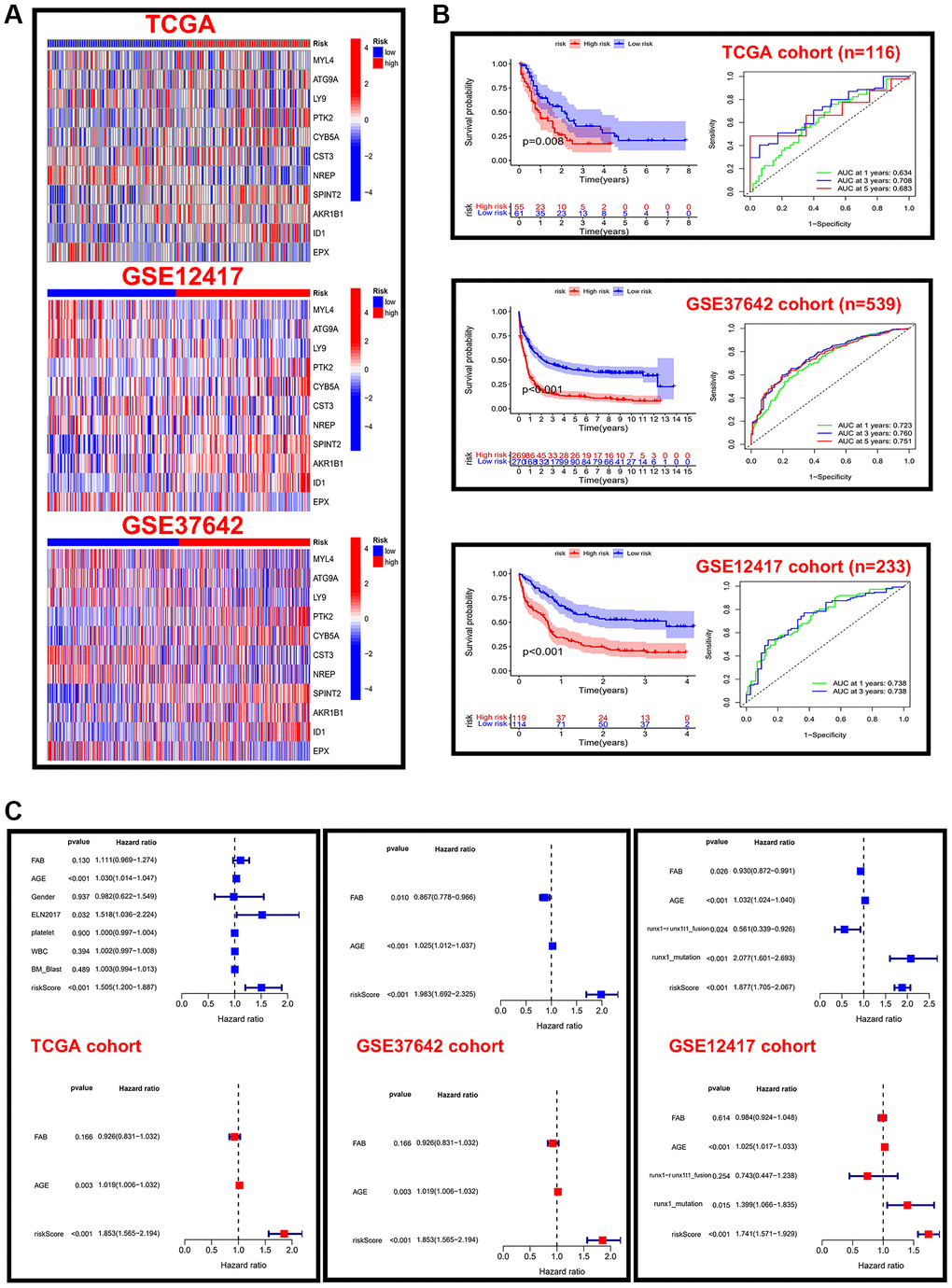 Validation of risk scores in different cohorts. (A) Heat map of 11 prognostic model genes expressed in different risk score groups in the TCGA and GEO cohorts. (B) Kaplan-Meier analysis and time-dependent ROC curve analysis for different risk score groups in the TCGA cohort. (C) Forest plots of independent prognostic factors for univariate and multifactorial Cox analysis in three cohorts.