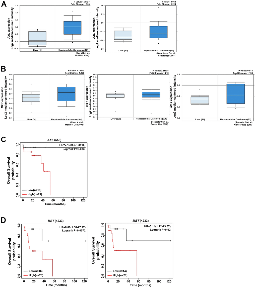 AXL and MET expression was positively associated with HCC. (A) AXL expression was positively correlated with HCC tissues and cirrhosis in the analysis of the Oncomine database (https://www.oncomine.com/). (B) MET expression was significantly upregulated in HCC tissues compared with normal tissues according to the analysis of data in the Oncomine database. (C) Kaplan–Meier plot presenting the association of AXL with HCC. High expression of AXL was associated with poor overall survival in patients with HCC. (D) Kaplan–Meier plot presenting the association of MET with overall survival in patients with HCC. High expression of MET was associated with poor progression-free survival and relapse-free survival in patients with HCC.